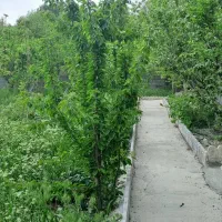 خونه باغ تفریحی  سی سخت  کوخدان