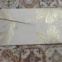 پاکت‌پول‌