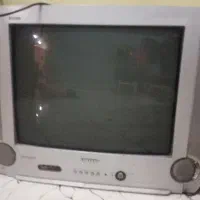 تلویزیون