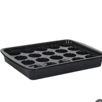 سینی پذیرایی محرم و اعیاد دوتیکه