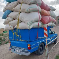 خرید کاه