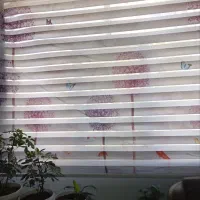 پرده زبرا دوبل