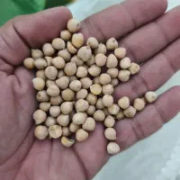 اقلام شله قیمت مناسب ویژه اربعین