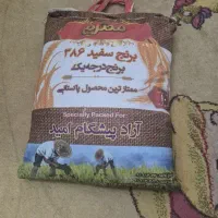 برنج پلمپ