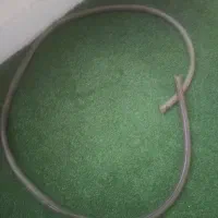 شیلنگ انتقال شیر