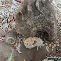 سنگ قیمتی|کلکسیون اشیاء عتیقه|کرمانشاه, |دیوار