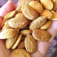 مغز بادام شیرین