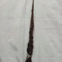 موی بلند بانوان