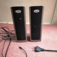 یک جفت اسپیکر فیش دار
