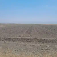 فروش زمین کشاورزی ۵۵ هکتار