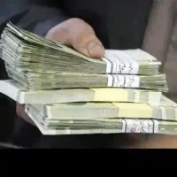 ضامن