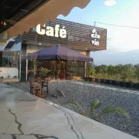 نیروی خدماتی برای کافه
