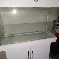 شیشه خم با میز 80