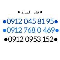 09120458195
