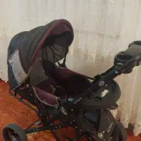 کالسکه دلیجان رنگ بنفش