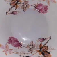 ظروف چینی