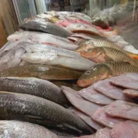 ماهی وارداتی از خوزستان