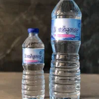 آب معدنی نیم لیتری نوشگوار