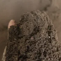 ورمی کمپوست آتا