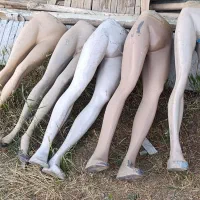 مانکن پایین تنه مردانه و زنانه