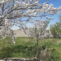 فروش زمین