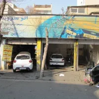 کارگر کارواش خانم و آقا