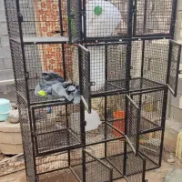 قفس ، گنجه ، کله ، کفتری ، کبوتر