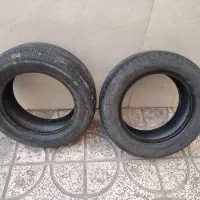 لاستیک ساینا