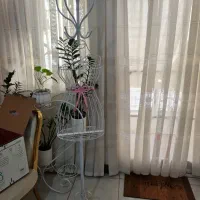 آویز لباس