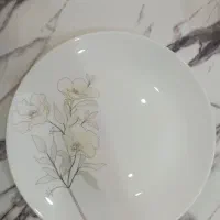 سرویس آرکوپال ۱۸ نفره