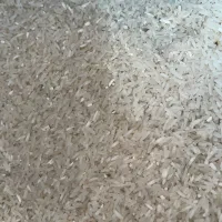 سر لاشه طارم