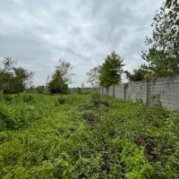 635-متر-زمین-مسکونی-دور-دیوار-با-دو-نامه-بنیاد