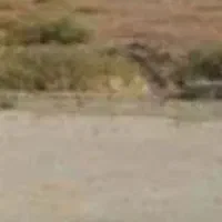 زمین مسکونی فروشی