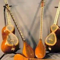 آموزش وتدریس خصوصی آواز سنتی