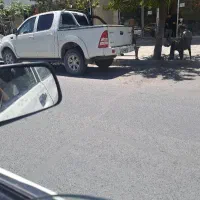 لایسنس انتی ویروس esst