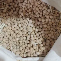نخود درجه