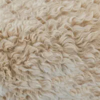 پشم گوسفندی