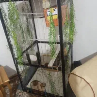 قفس بزرگ