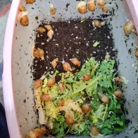 فروش حلزون های اچاتینا صفر تا صد