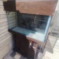 آکواریوم