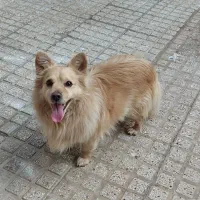 باحیوانات مهربان باشیم