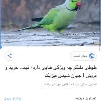 ملگو نر گمشده