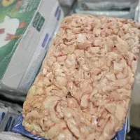 بچه فیله شرکتی سمین درجه یک تا سه