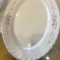 ۲عدد دیس ارکوپال