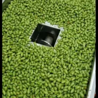 آبگیری غوره و گوجه