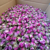 عمده غنچه محمدی
