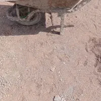 فرغون
