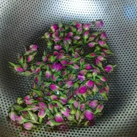 غنچه گل محمدی اعلا درجه یک