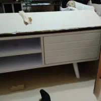 زیر تلوزیونی