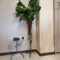 درختچه مصنوعی بابا آدم